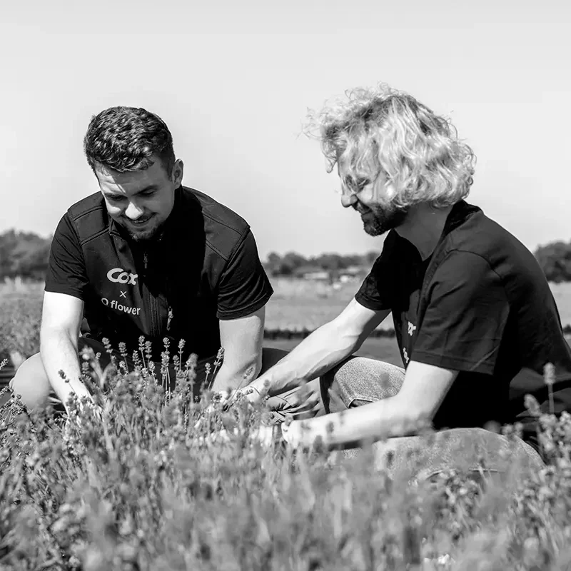 Jobsurfing-Niederrhein-Aussenhandel-10