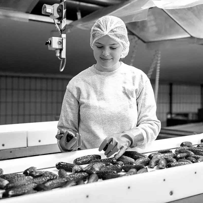 Jobsurfing-Niederrhein-Lebensmitteltechnik-06